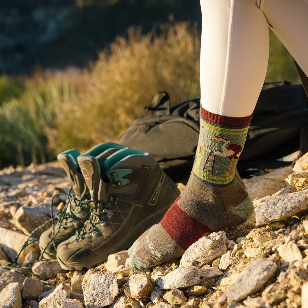 Darn Tough Women's Hiker Critter Club Micro Crew Lightweight with Cushion taupe