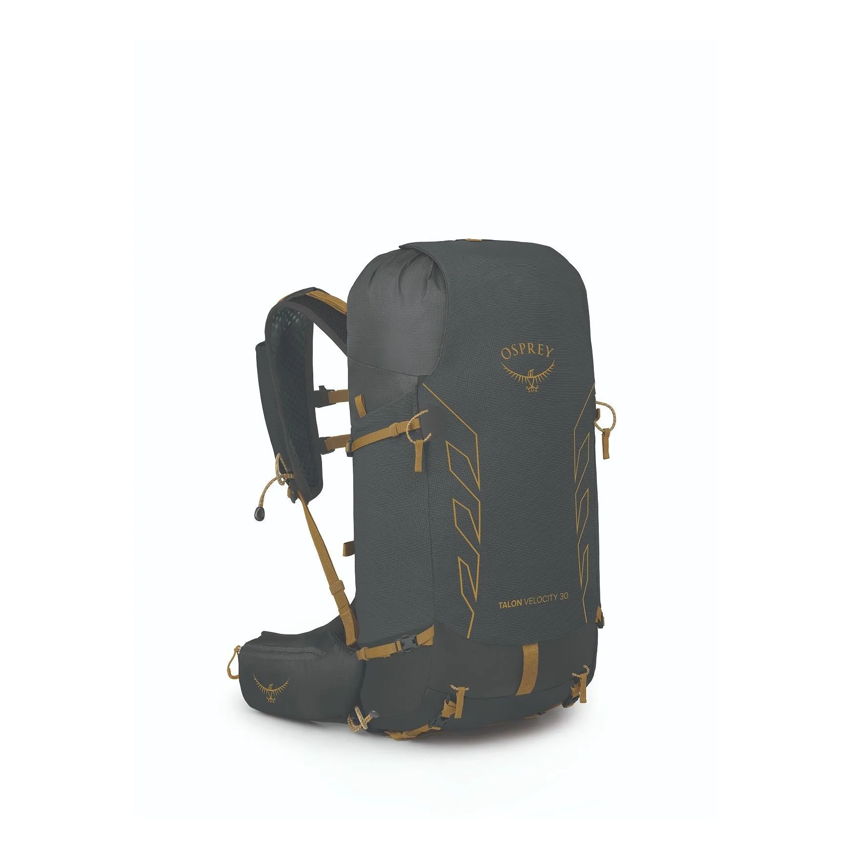 Talon Velocity 30 (Clearance)